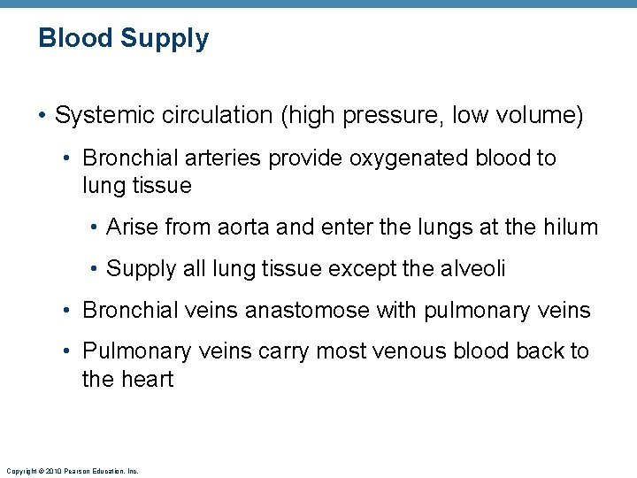 Blood Supply • Systemic circulation (high pressure, low volume) • Bronchial arteries provide oxygenated