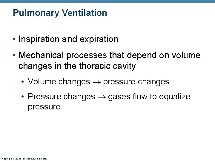 Pulmonary Ventilation • Inspiration and expiration • Mechanical processes that depend on volume changes