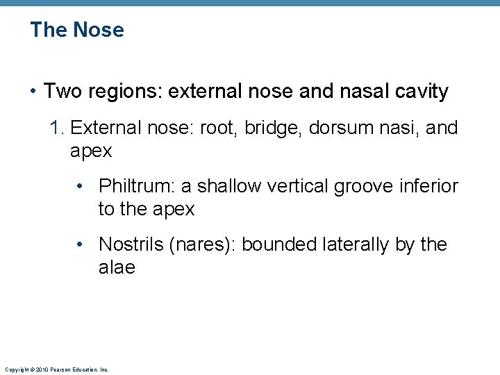 The Nose • Two regions: external nose and nasal cavity 1. External nose: root,