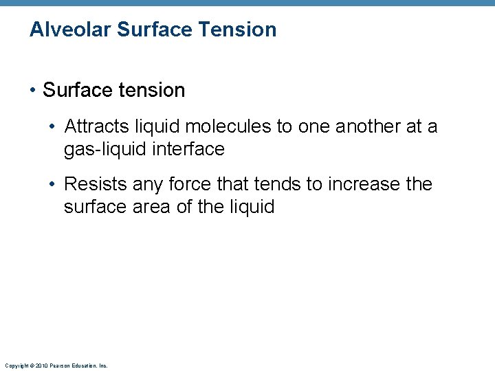 Alveolar Surface Tension • Surface tension • Attracts liquid molecules to one another at