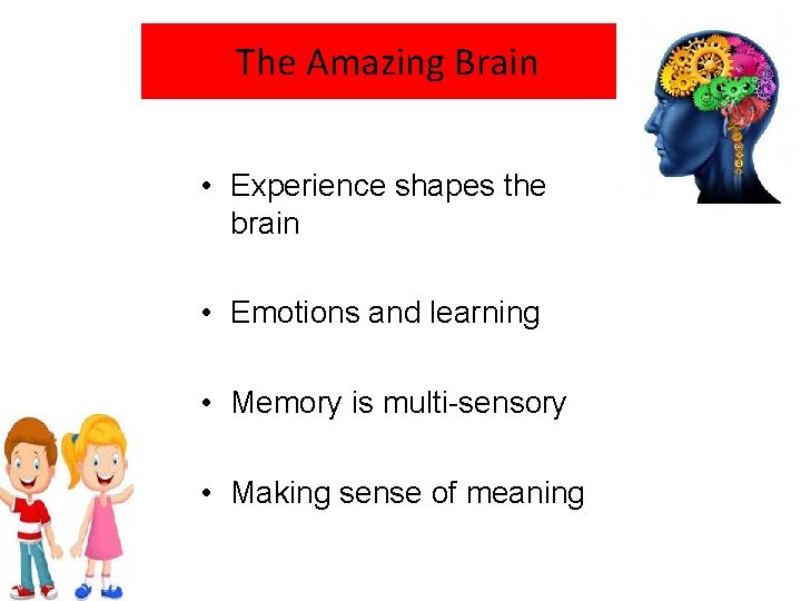 The Amazing Brain • Experience shapes the brain • Emotions and learning • Memory