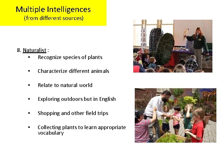 Multiple Intelligences (from different sources) 8. Naturalist : • Recognize species of plants •