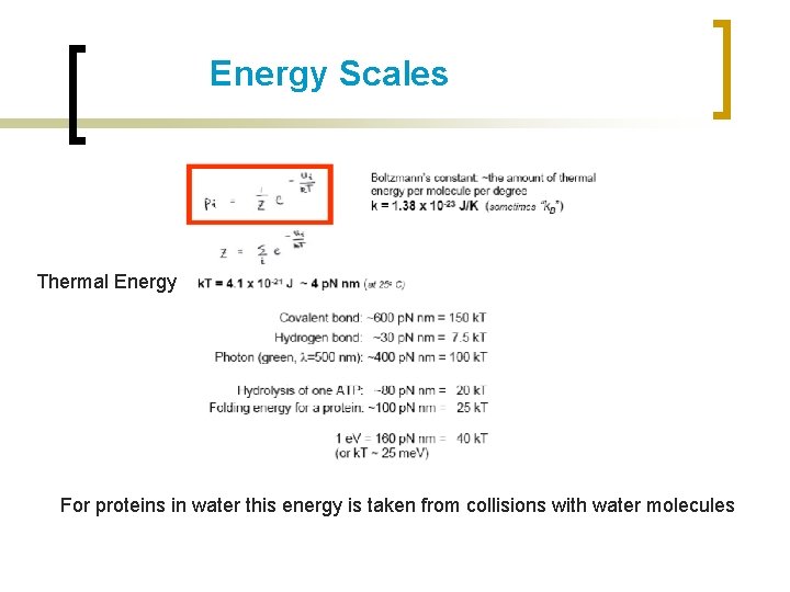 Energy Scales Thermal Energy For proteins in water this energy is taken from collisions