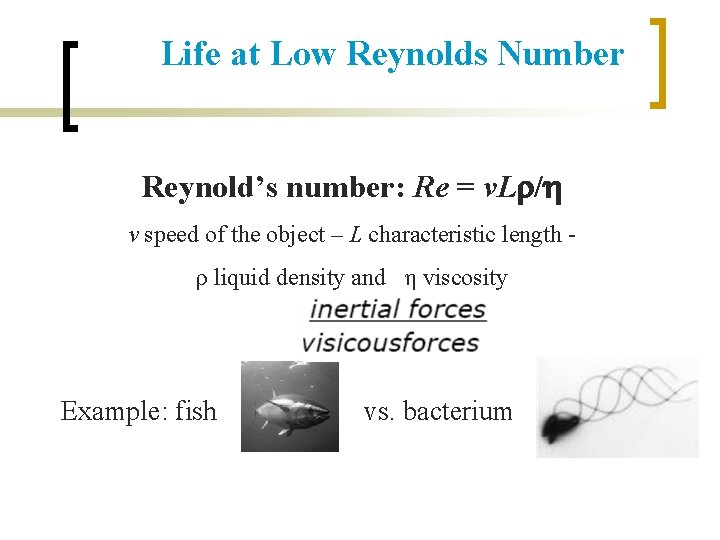 Life at Low Reynolds Number Reynold’s number: Re = v. Lr/h v speed of