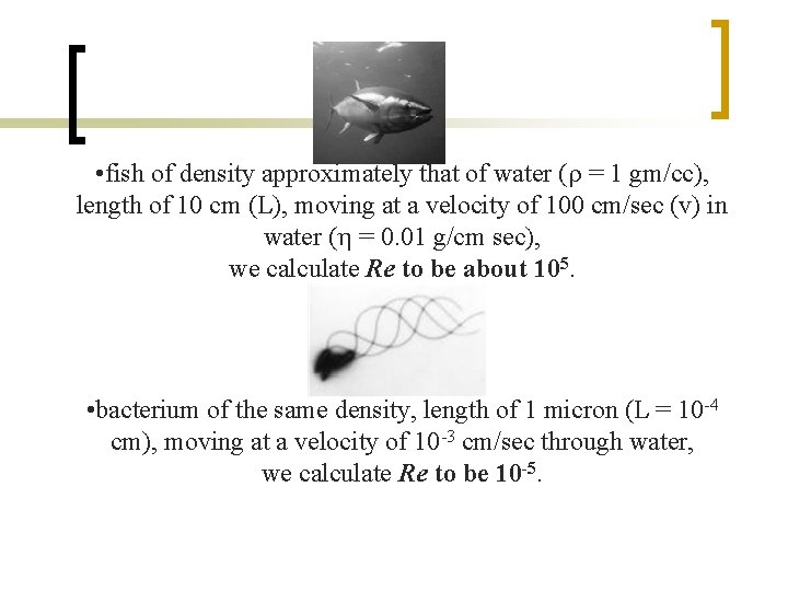  • fish of density approximately that of water (r = 1 gm/cc), length