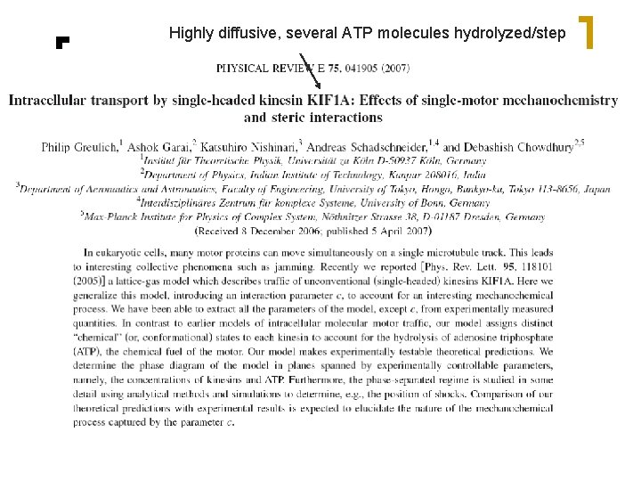 Highly diffusive, several ATP molecules hydrolyzed/step 