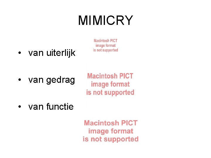 MIMICRY • van uiterlijk • van gedrag • van functie 