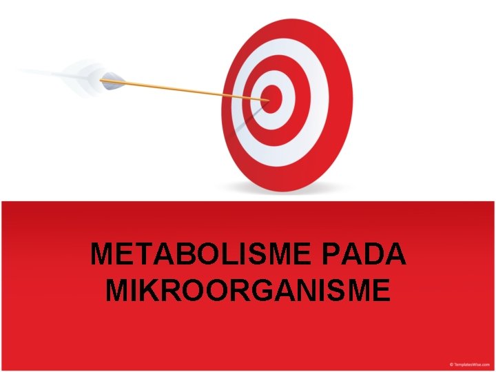 METABOLISME PADA MIKROORGANISME 