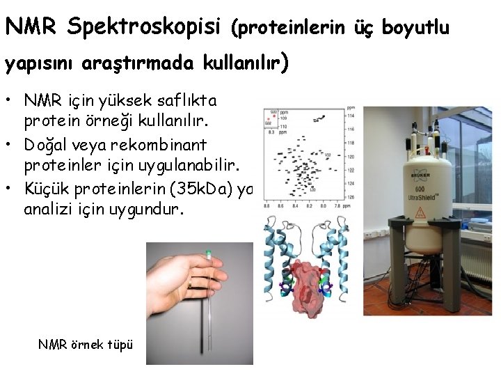 NMR Spektroskopisi (proteinlerin üç boyutlu yapısını araştırmada kullanılır) • NMR için yüksek saflıkta protein