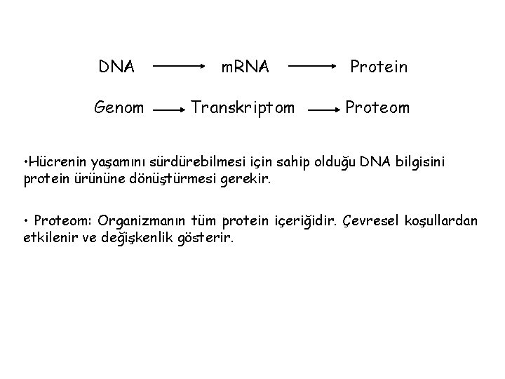 DNA m. RNA Protein Genom Transkriptom Proteom • Hücrenin yaşamını sürdürebilmesi için sahip olduğu