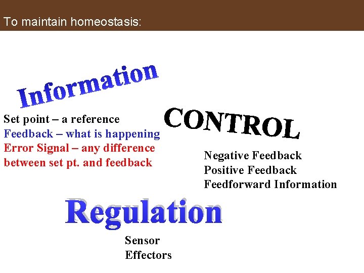 To maintain homeostasis: Set point – a reference Feedback – what is happening Error