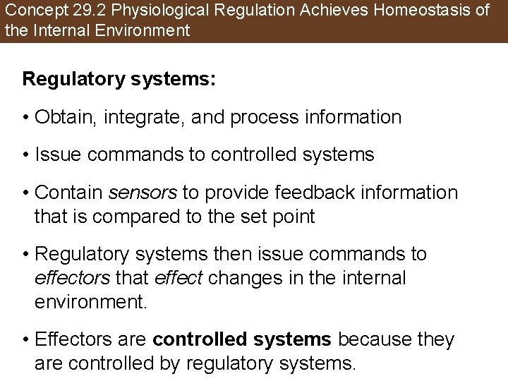 Concept 29. 2 Physiological Regulation Achieves Homeostasis of the Internal Environment Regulatory systems: •