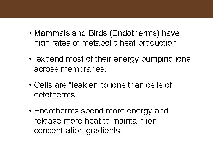  • Mammals and Birds (Endotherms) have high rates of metabolic heat production •
