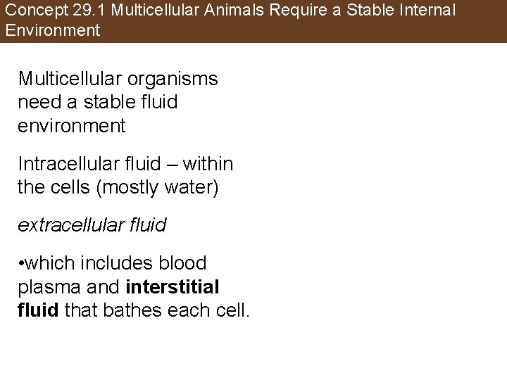 Concept 29. 1 Multicellular Animals Require a Stable Internal Environment Multicellular organisms need a