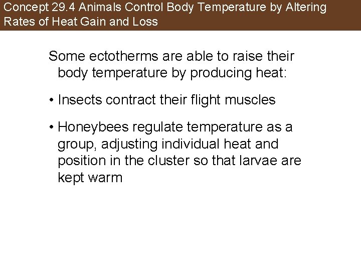 Concept 29. 4 Animals Control Body Temperature by Altering Rates of Heat Gain and