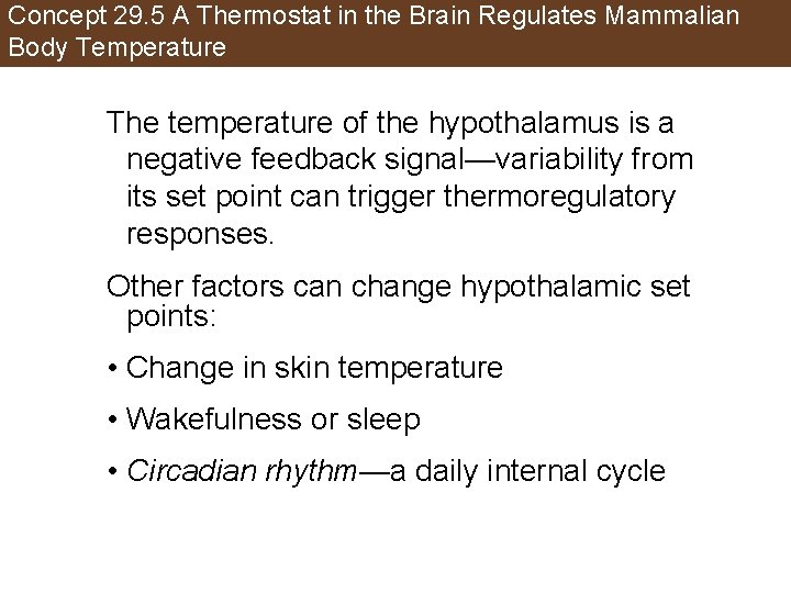 Concept 29. 5 A Thermostat in the Brain Regulates Mammalian Body Temperature The temperature