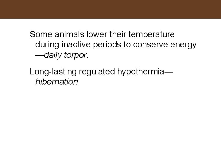 Some animals lower their temperature during inactive periods to conserve energy —daily torpor. Long-lasting