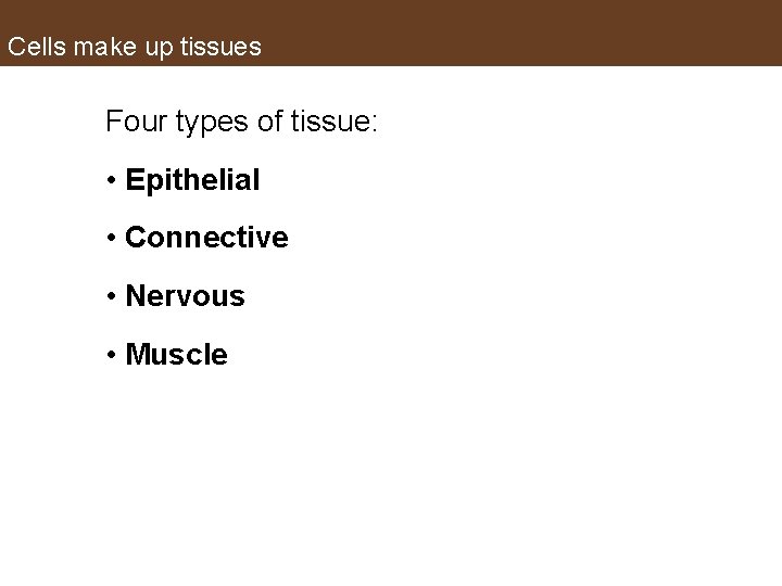 Cells make up tissues Four types of tissue: • Epithelial • Connective • Nervous