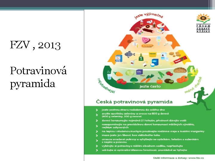 FZV , 2013 Potravinová pyramida 
