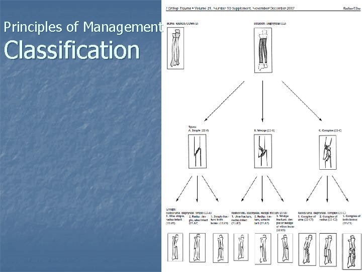 Principles of Management Classification 