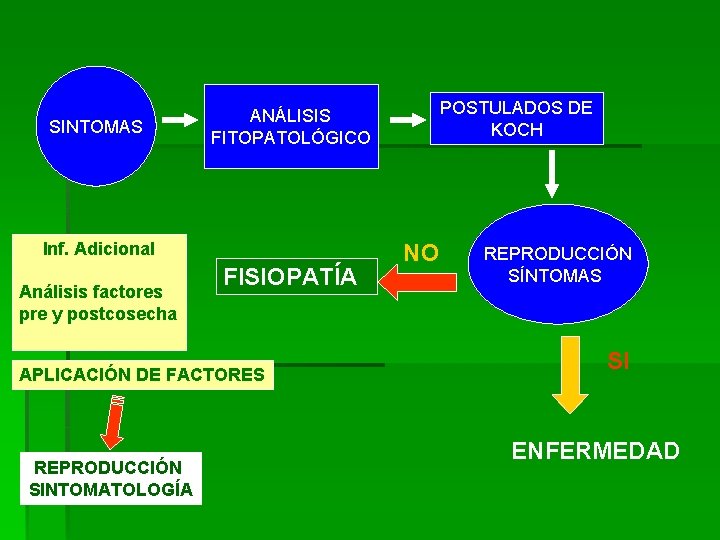 SINTOMAS Inf. Adicional Análisis factores pre y postcosecha FISIOPATÍA APLICACIÓN DE FACTORES REPRODUCCIÓN SINTOMATOLOGÍA