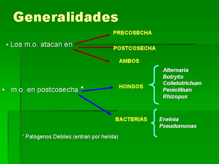 Generalidades PRECOSECHA § Los m. o. atacan en POSTCOSECHA AMBOS HONGOS • m. o.