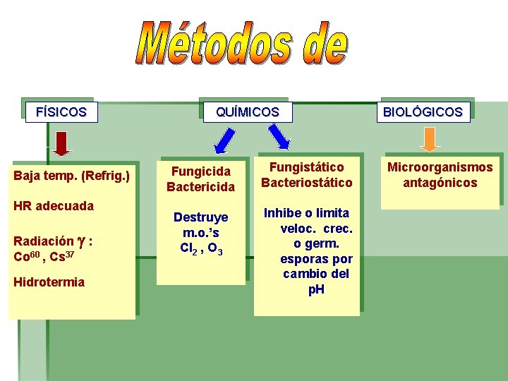 FÍSICOS Baja temp. (Refrig. ) HR adecuada Radiación : Co 60 , Cs 37 FÍSICOS Baja temp. (Refrig. ) HR adecuada Radiación : Co 60 , Cs 37