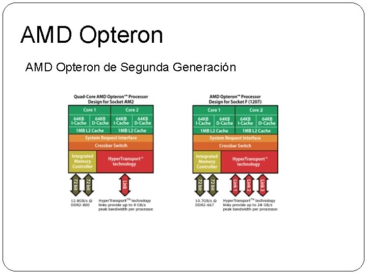 AMD Opteron de Segunda Generación 