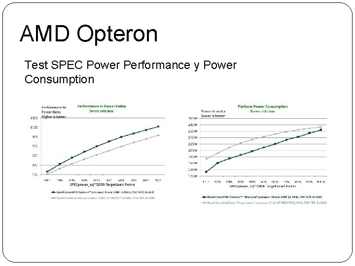 AMD Opteron Test SPEC Power Performance y Power Consumption 