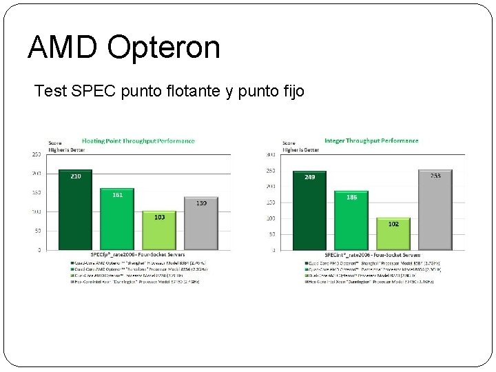 AMD Opteron Test SPEC punto flotante y punto fijo 