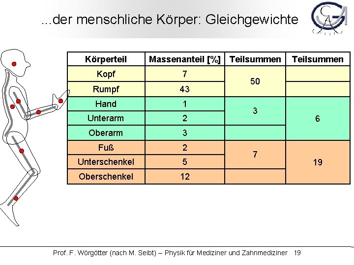 . . . der menschliche Körper: Gleichgewichte Körperteil Massenanteil [%] Teilsummen Kopf 7 Rumpf