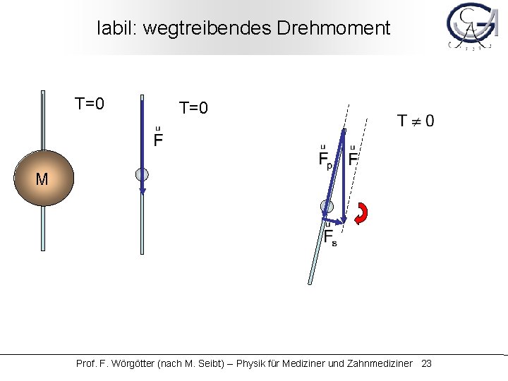 labil: wegtreibendes Drehmoment T=0 M Prof. F. Wörgötter (nach M. Seibt) -- Physik für