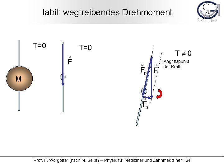 labil: wegtreibendes Drehmoment T=0 Angriffspunkt der Kraft M Prof. F. Wörgötter (nach M. Seibt)