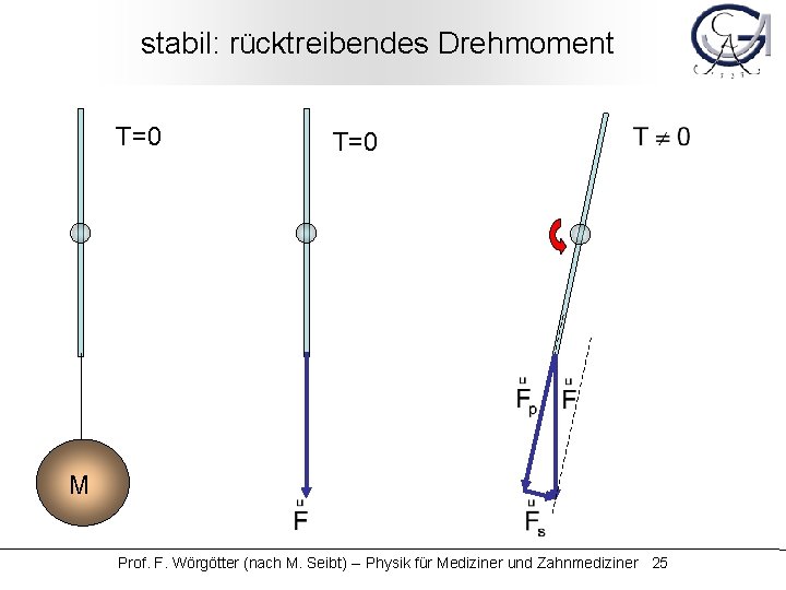 stabil: rücktreibendes Drehmoment T=0 M Prof. F. Wörgötter (nach M. Seibt) -- Physik für