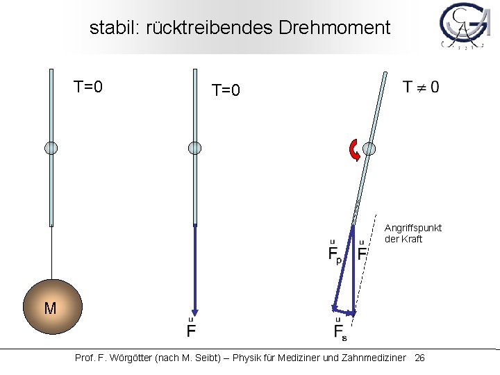 stabil: rücktreibendes Drehmoment T=0 Angriffspunkt der Kraft M Prof. F. Wörgötter (nach M. Seibt)