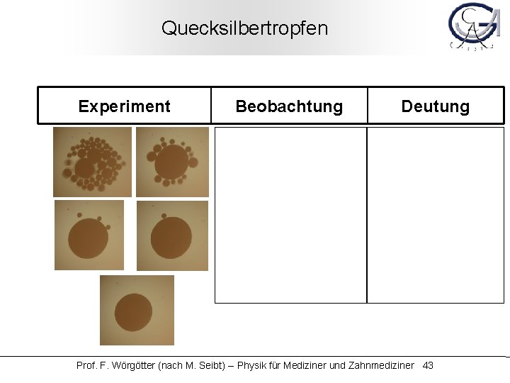 Quecksilbertropfen Experiment Beobachtung Deutung Prof. F. Wörgötter (nach M. Seibt) -- Physik für Mediziner