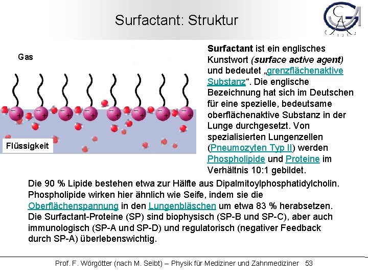 Surfactant: Struktur Surfactant ist ein englisches Gas Kunstwort (surface active agent) und bedeutet „grenzflächenaktive