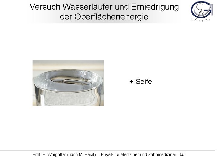 Versuch Wasserläufer und Erniedrigung der Oberflächenenergie + Seife Prof. F. Wörgötter (nach M. Seibt)