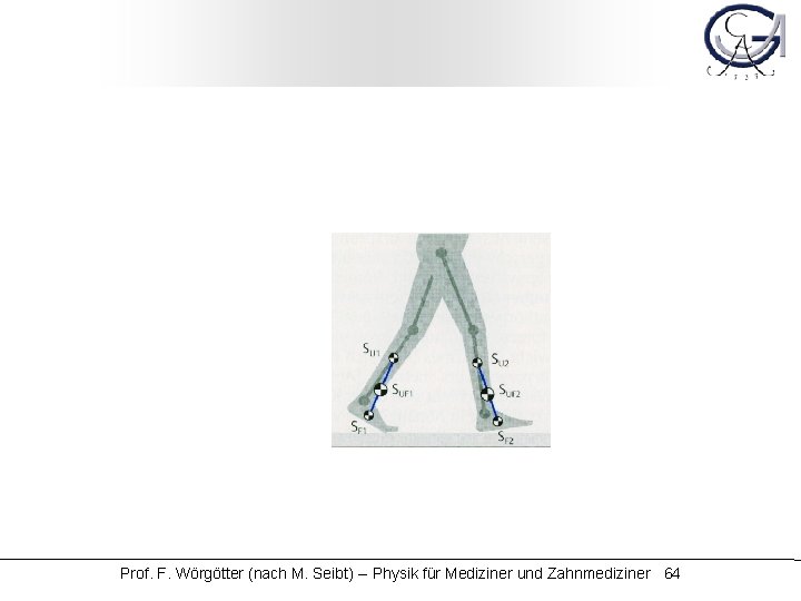 Prof. F. Wörgötter (nach M. Seibt) -- Physik für Mediziner und Zahnmediziner 64 