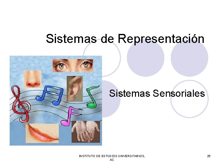 Sistemas de Representación Sistemas Sensoriales INSTITUTO DE ESTUDIOS UNIVERSITARIOS, AC 25 