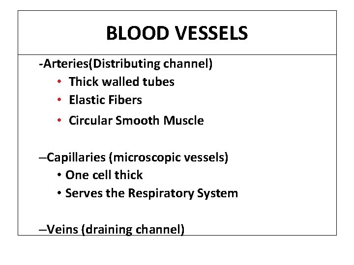 BLOOD VESSELS -Arteries(Distributing channel) • Thick walled tubes • Elastic Fibers • Circular Smooth