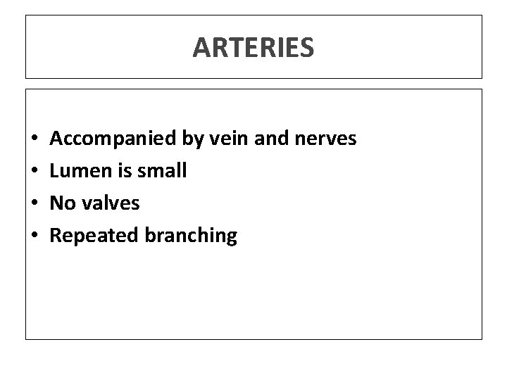 ARTERIES • • Accompanied by vein and nerves Lumen is small No valves Repeated