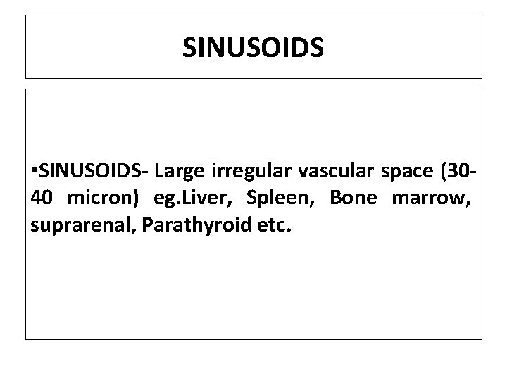 SINUSOIDS • SINUSOIDS- Large irregular vascular space (3040 micron) eg. Liver, Spleen, Bone marrow,