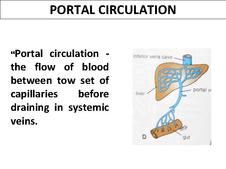 PORTAL CIRCULATION Portal circulation the flow of blood between tow set of capillaries before