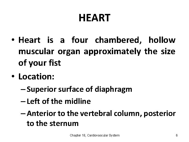 HEART • Heart is a four chambered, hollow muscular organ approximately the size of