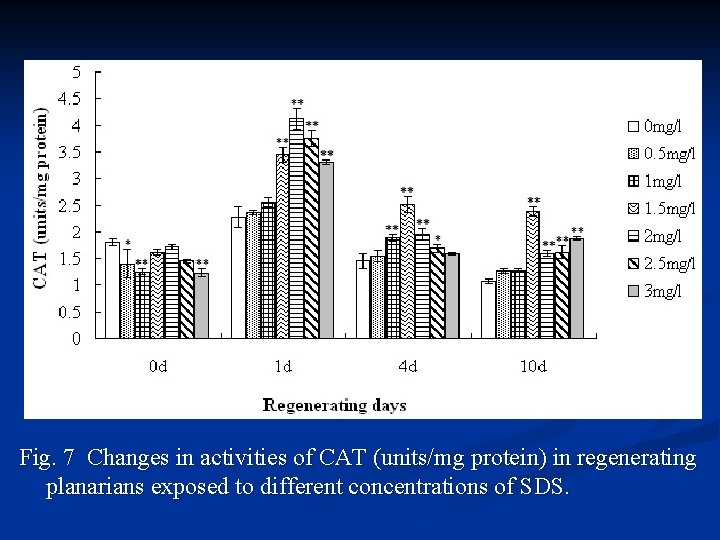 Fig. 7 Changes in activities of CAT (units/mg protein) in regenerating planarians exposed to