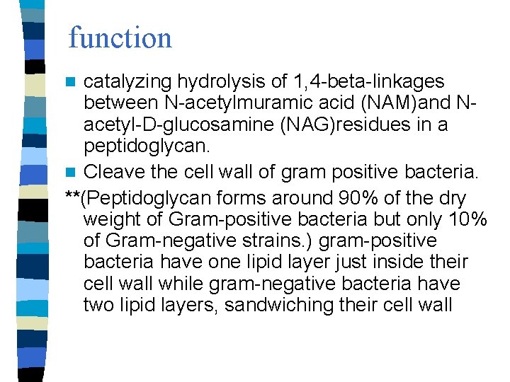 function catalyzing hydrolysis of 1, 4 -beta-linkages between N-acetylmuramic acid (NAM)and Nacetyl-D-glucosamine (NAG)residues in