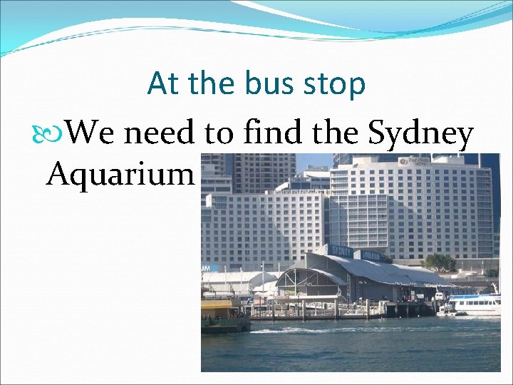 At the bus stop We need to find the Sydney Aquarium 