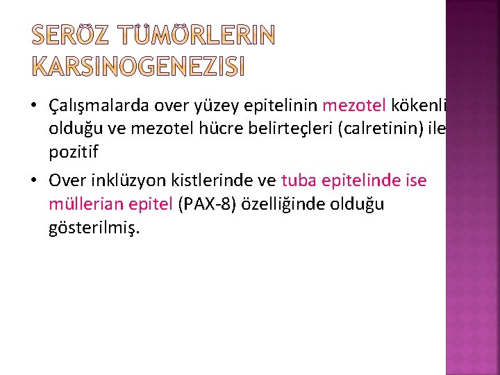  • Çalışmalarda over yüzey epitelinin mezotel kökenli olduğu ve mezotel hücre belirteçleri (calretinin)