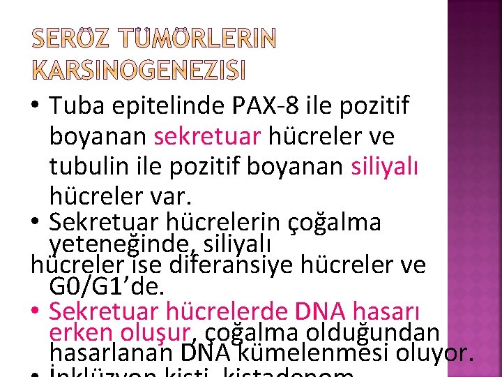  • Tuba epitelinde PAX-8 ile pozitif boyanan sekretuar hücreler ve tubulin ile pozitif